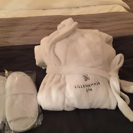 公寓 Lillehammer Spa Apartments