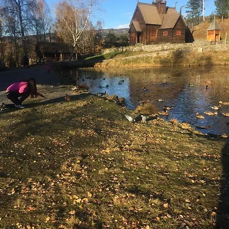 Lillehammer Spa Apartments *